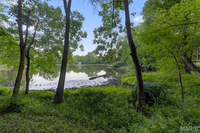 125 Park Lawn Est, Fenton, MO 63026 - water view featuring a heavily wooded area