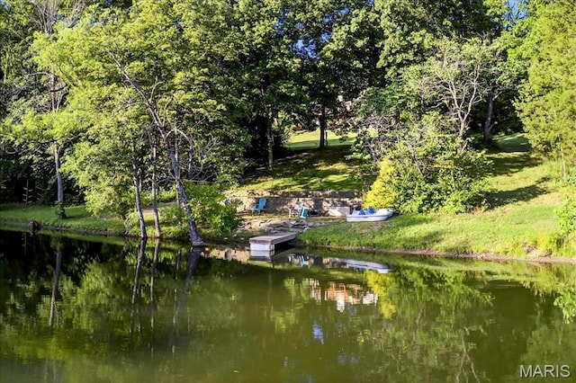 125 Park Lawn Est, Fenton, MO 63026 - dock with a water view