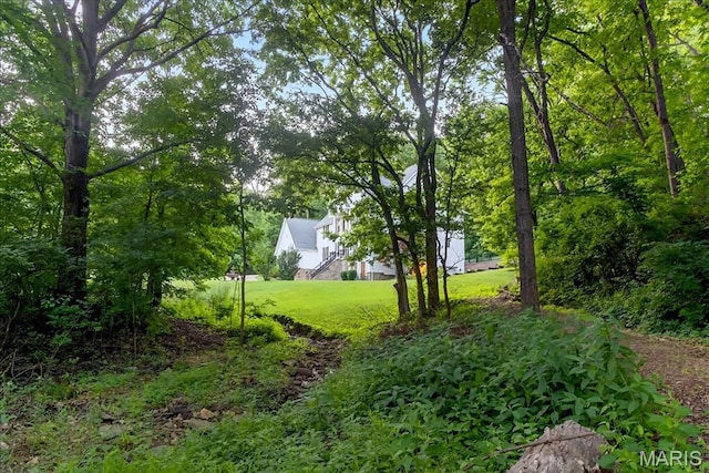 125 Park Lawn Est, Fenton, MO 63026 - view of grassy yard featuring stairs