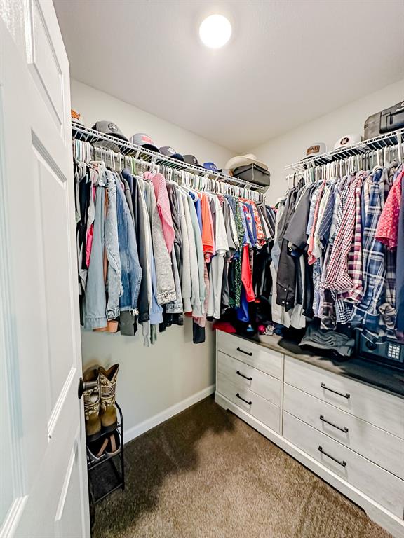 20083 Southview Dr, Carlyle, IL 62231 - spacious closet with dark carpet