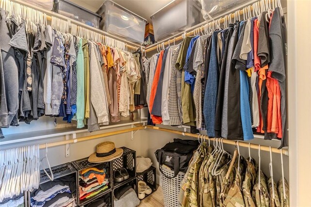 153 Mesa Dr, Waynesville, MO 65583 - view of walk in closet