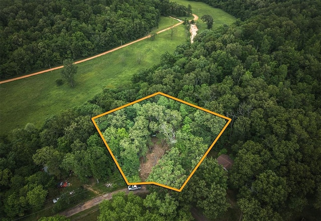 882 Wayne 459, Piedmont, MO 63957 - aerial view of property's location featuring a forest and property boundaries highlighted