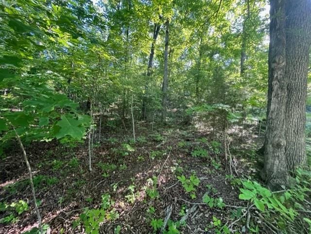 1045 Erie Trl, Perryville, MO 63775 - photo 2