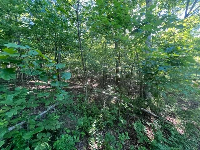 1045 Erie Trl, Perryville, MO 63775 - photo 3