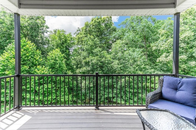105 Regency Ct, Herculaneum, MO 63048 - photo 38