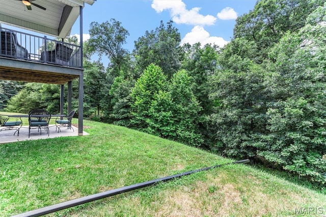 105 Regency Ct, Herculaneum, MO 63048 - photo 39