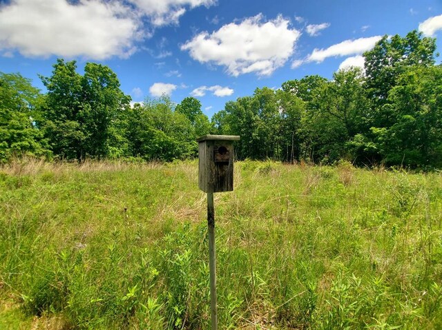 61778 Telegraph St, Newark, MO 63458 - photo 81