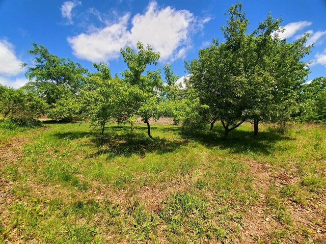 61778 Telegraph St, Newark, MO 63458 - photo 82