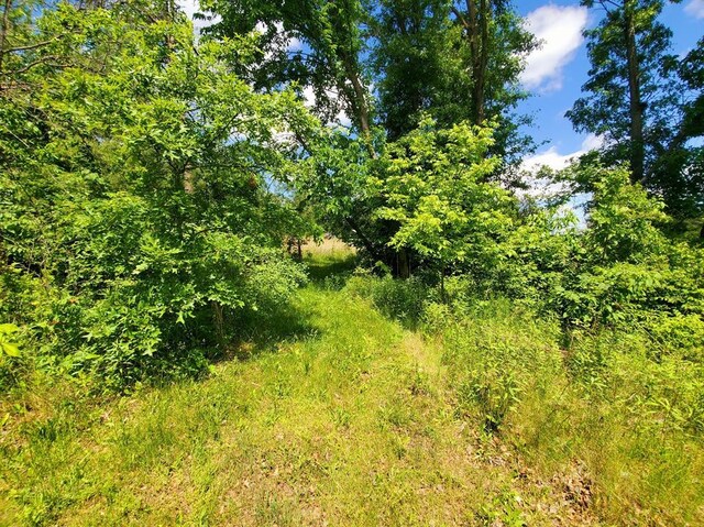 61778 Telegraph St, Newark, MO 63458 - photo 83