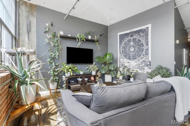 2020 Washington Ave Unit 210, Saint Louis, MO 63103 - living room with wood finished floors