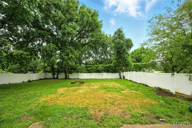 404 Sunshine Dr, Festus, MO 63028 - photo 29