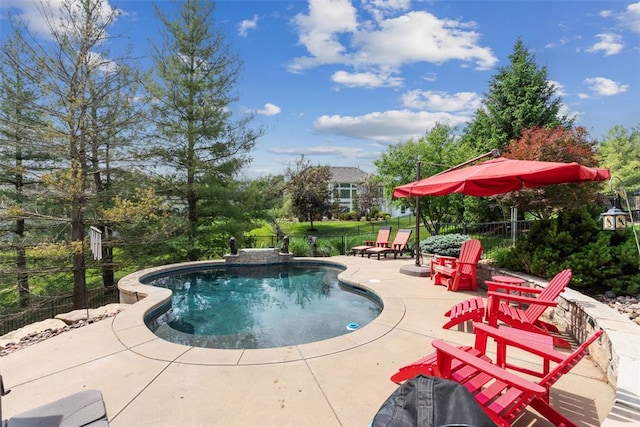 4516 Austin Point Ct, Saint Charles, MO 63304 - view of pool with a patio area