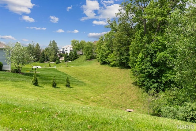 4516 Austin Point Ct, Saint Charles, MO 63304 - view of green lawn
