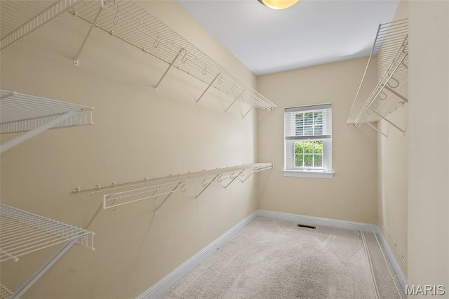 4516 Austin Point Ct, Saint Charles, MO 63304 - walk in closet featuring carpet
