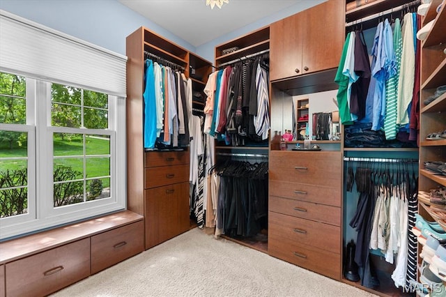 4516 Levis Ln, Godfrey, IL 62035 - walk in closet featuring light colored carpet
