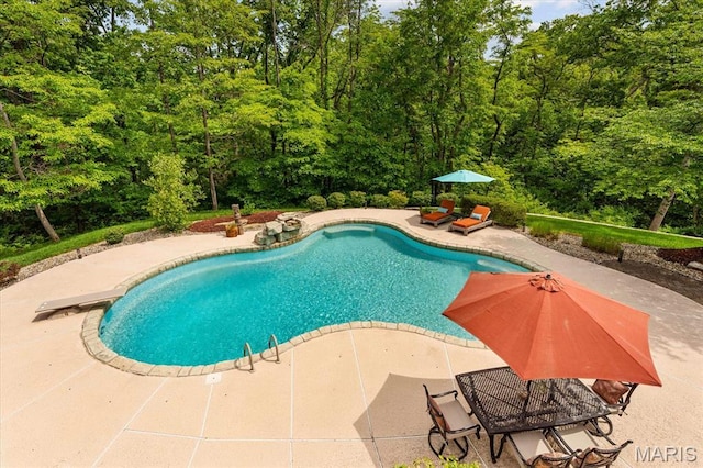 4516 Levis Ln, Godfrey, IL 62035 - swimming pool with a patio area