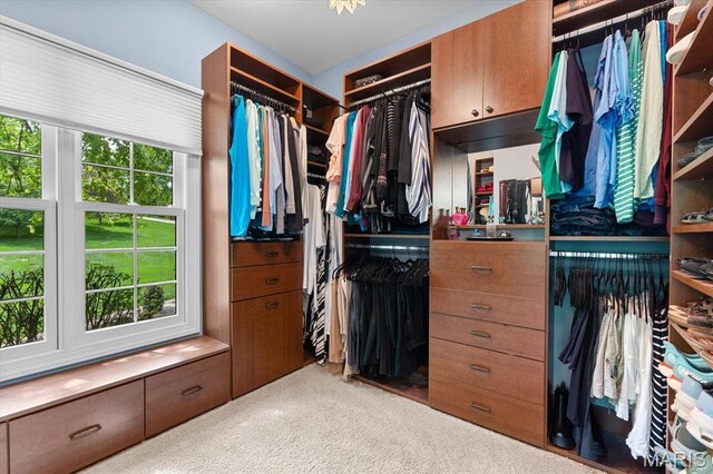 4516 Levis Ln, Godfrey, IL 62035 - walk in closet with light colored carpet