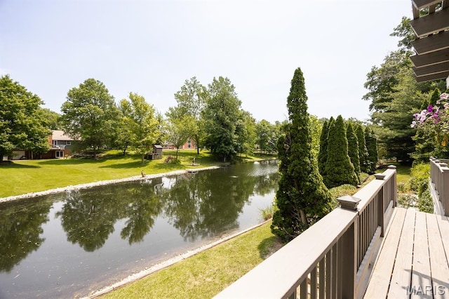 105 Pineywoods Dr, Swansea, IL 62226 - photo 46