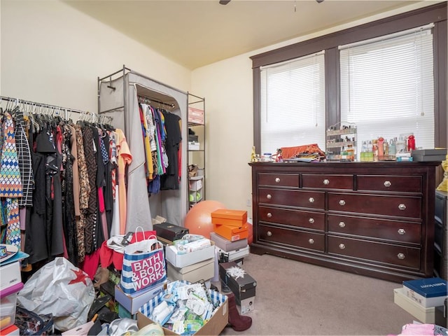 2614 Minnesota, Saint Louis, MO 63118 - walk in closet featuring carpet floors