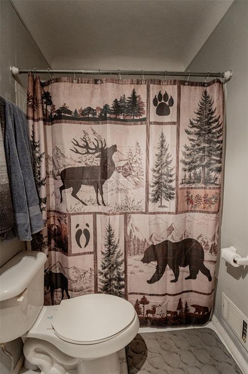 300 N Alvarado Ave, Belle, MO 65013 - full bath with toilet and a shower with curtain