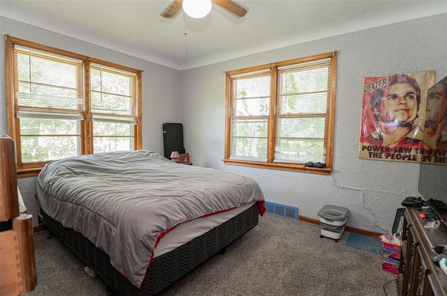 300 N Alvarado Ave, Belle, MO 65013 - bedroom with multiple windows, carpet, a textured wall, baseboards, and ceiling fan