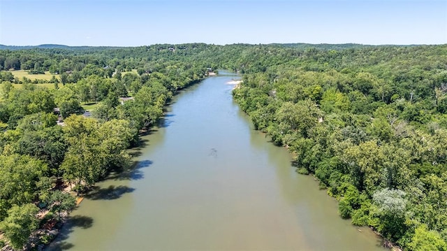 765 Carter 103, Van Buren, MO 63965 - drone / aerial view of a forest and a large body of water