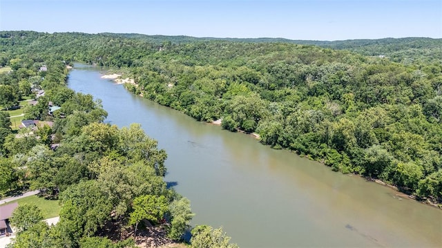 765 Carter 103, Van Buren, MO 63965 - drone / aerial view of a forest and a large body of water