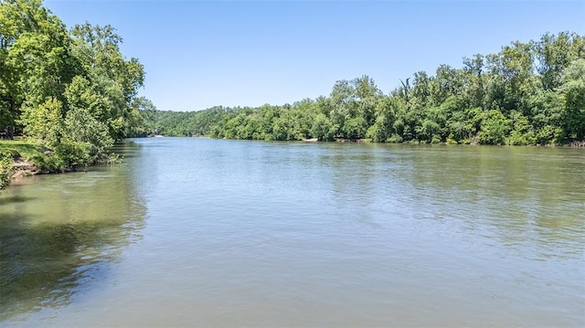 765 Carter 103, Van Buren, MO 63965 - water view with a forest