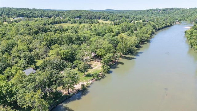 765 Carter 103, Van Buren, MO 63965 - drone / aerial view of a heavily wooded area and a large body of water