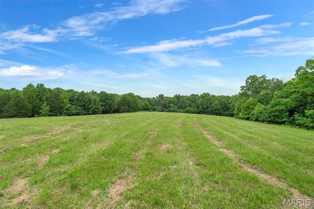 4373 E Linda Ln, Robertsville, MO 63072 - photo 10