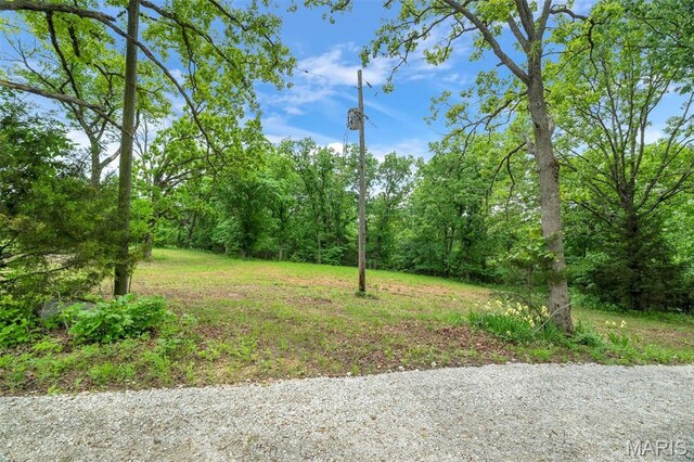 4373 E Linda Ln, Robertsville, MO 63072 - photo 16