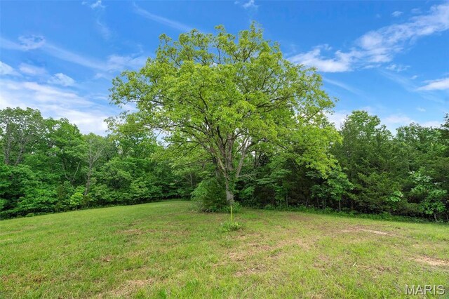 4373 E Linda Ln, Robertsville, MO 63072 - photo 19