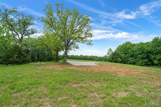 4373 E Linda Ln, Robertsville, MO 63072 - photo 21