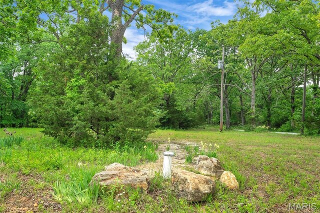 4373 E Linda Ln, Robertsville, MO 63072 - photo 22