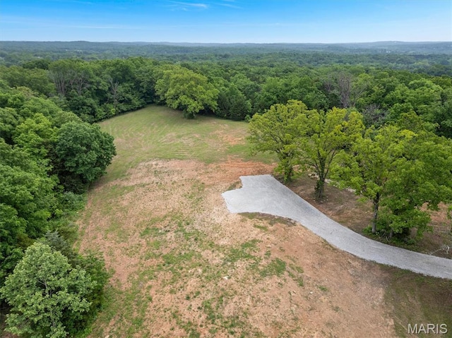 4373 E Linda Ln, Robertsville, MO 63072 - photo 26