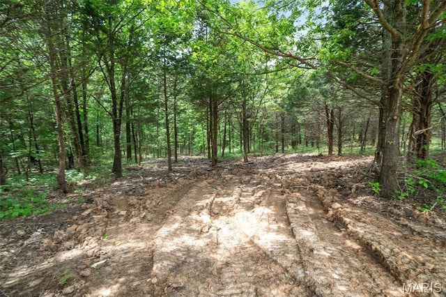 4373 E Linda Ln, Robertsville, MO 63072 - photo 27