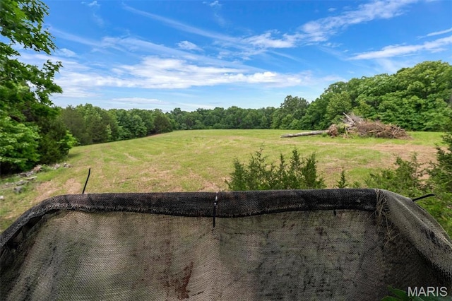 4373 E Linda Ln, Robertsville, MO 63072 - photo 28
