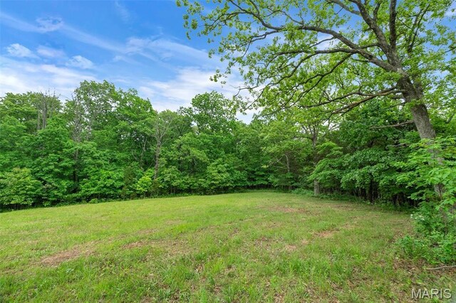 4373 E Linda Ln, Robertsville, MO 63072 - photo 29