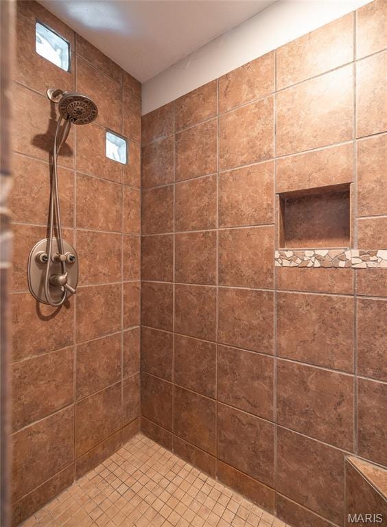 13399 S US Highway 63, Rolla, MO 65401 - full bathroom with tiled shower