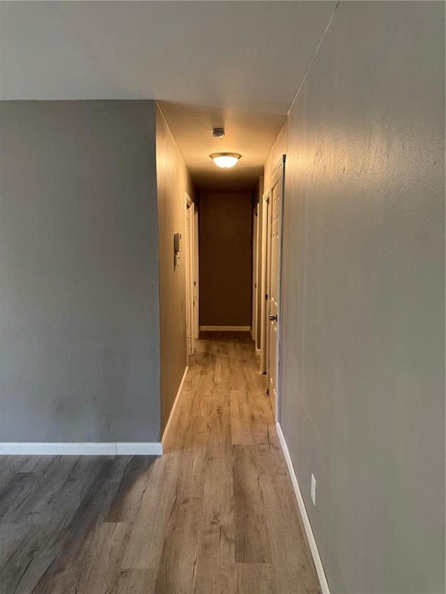 1341 Criterion Ave, Saint Louis, MO 63138 - corridor featuring light wood-style floors and baseboards
