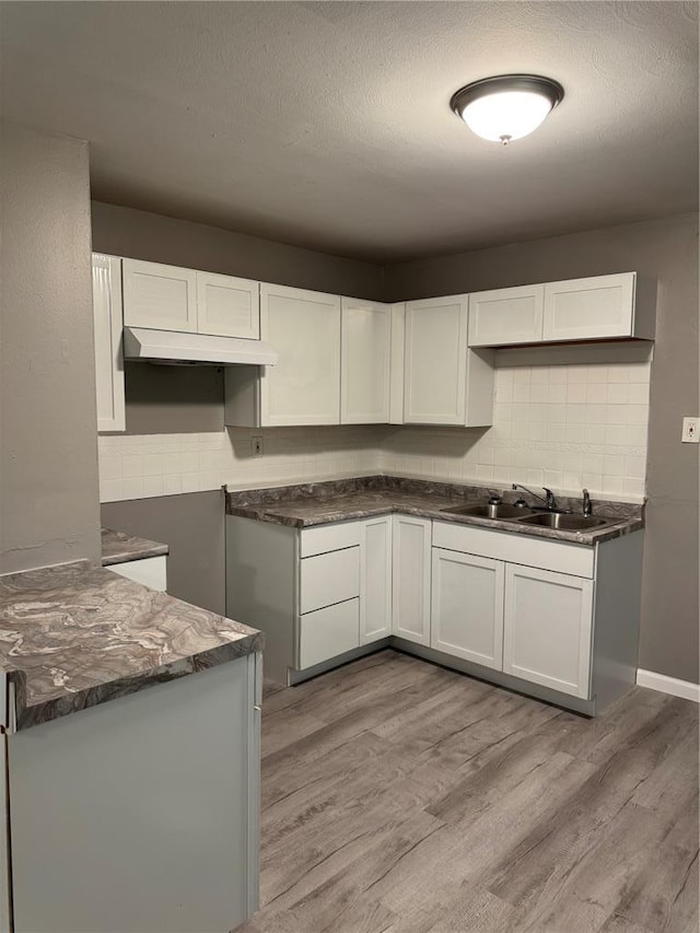 1341 Criterion Ave, Saint Louis, MO 63138 - kitchen featuring a sink, under cabinet range hood, light wood-style flooring, and backsplash