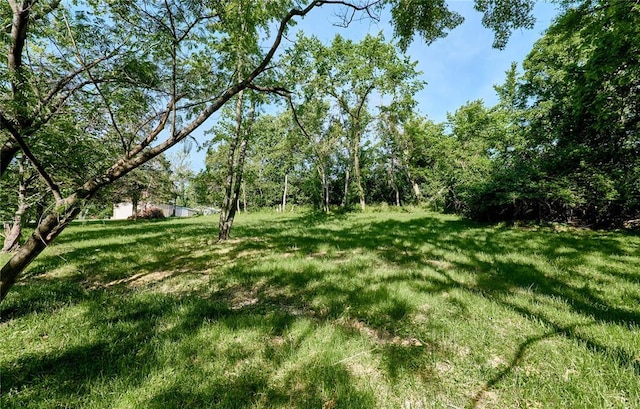 2613 Hillsboro Valley Park Rd, High Ridge, MO 63049 - view of green lawn