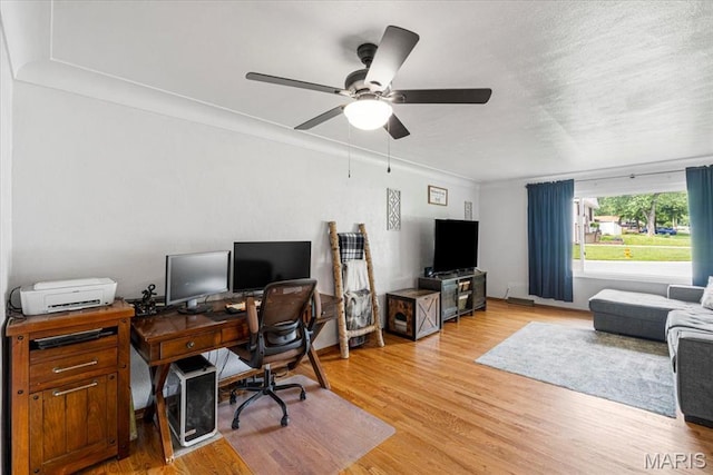 1402 Princeton Dr, Ofallon, IL 62269