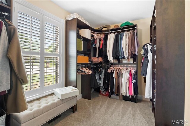 8743 Cardinal Creek Dr, Saint Jacob, IL 62281 - walk in closet with carpet floors