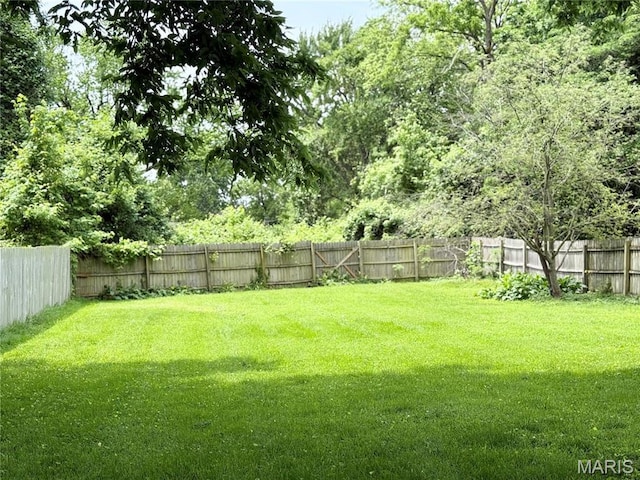 1106 Raab Ave, Belleville, IL 62220 - view of yard