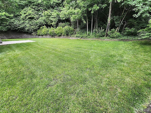 412 Westchester, Glen Carbon, IL 62034 - photo 13