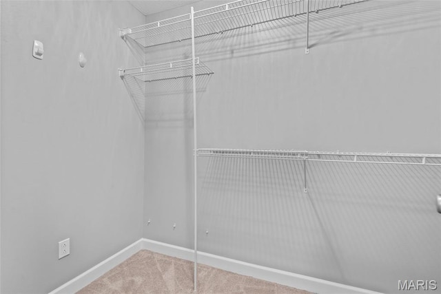 412 Westchester, Glen Carbon, IL 62034 - photo 51