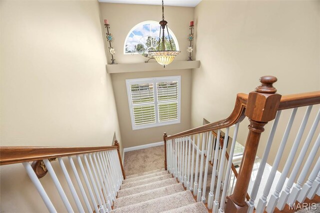 102 Riparian Dr, Ofallon, MO 63368 - stairway with carpet, healthy amount of natural light, and baseboards