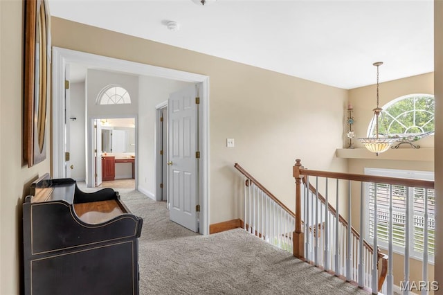 102 Riparian Dr, Ofallon, MO 63368 - corridor with an upstairs landing, carpet floors, healthy amount of natural light, and baseboards