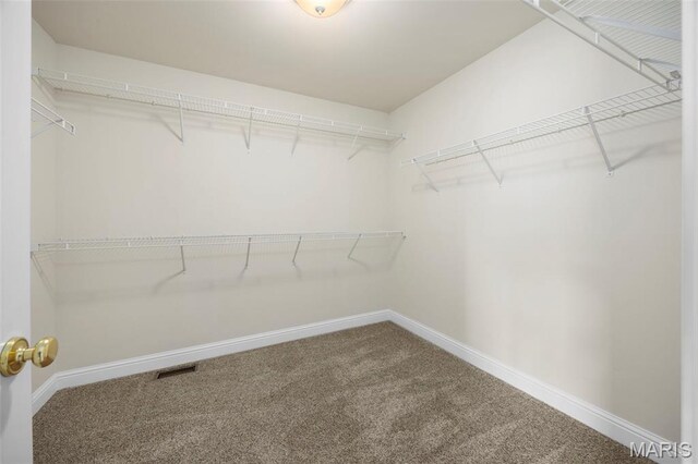102 Riparian Dr, Ofallon, MO 63368 - spacious closet with carpet